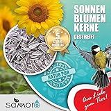 25 KG Sonnenblumenkerne gestreift Marke "Vogelfood" Winterstreu Streufutter frische Ware
