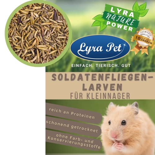 Lyra Pet® 15 kg Soldatenfliegenlarven für Nager wie Mehlwürmer Kleintiere Nagerfutter
