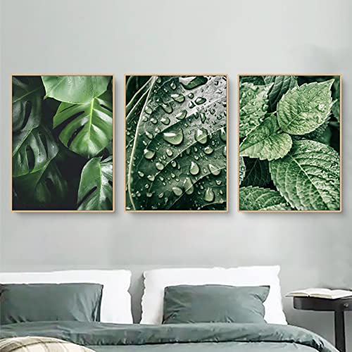 EXQUILEG 3er Poster Set | Botanik grün | Moderne Poster Set Natur-Blätter | Wanddeko Ohne Bilderrahmen Collagen| Wohnzimmer Schlafzimmer Modern Fine Art (50x70cm)