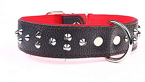 Capadi K0382 Breiter Hundehalsband für Bulldoge mit kleinen Nietenverzierungen aus echtem strapazierfähiges Leder weich unterlegt, Rot, Breite 40 mm, Länge 55 cm