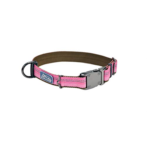 Coastal - K-9 Explorer – reflektierendes, verstellbares Hundehalsband, Rosenknospen, 1,6 cm x 25,4 cm - 35,6 cm