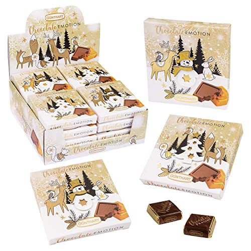 Günthart 16 Stück Pralinen Wintergeschenk mit verschiedene Motiven, Präsente mit Schokolade, 1er Pack (608 gr)