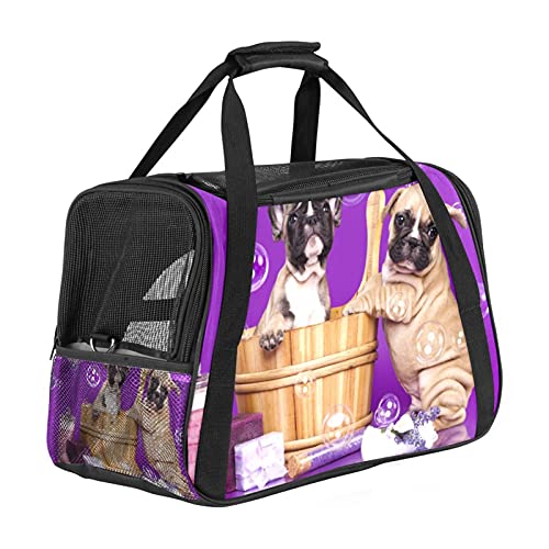 Xingruyun Katze Transporttasche Französische Bulldoggen Hund Transporttasche Faltbare Tragetasche Für Haustiere Hundetragetasche Katzentragetasche 43x26x30 cm
