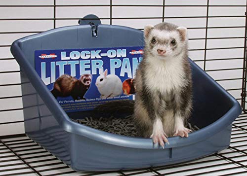 Marshall Lock-On Ferret Litter Pan(Color May Vary)