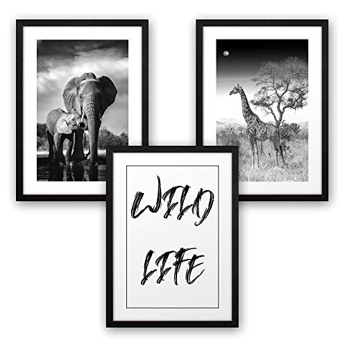 3-teiliges Premium Poster-Set | Kunstdruck | WILD LIFE | Deko Bild für Ihre Wand | optional mit Rahmen | Kinderzimmer Schlafzimmer Modern Fine Art | DIN A4 / A3 (A4, schwarzer Rahmen)