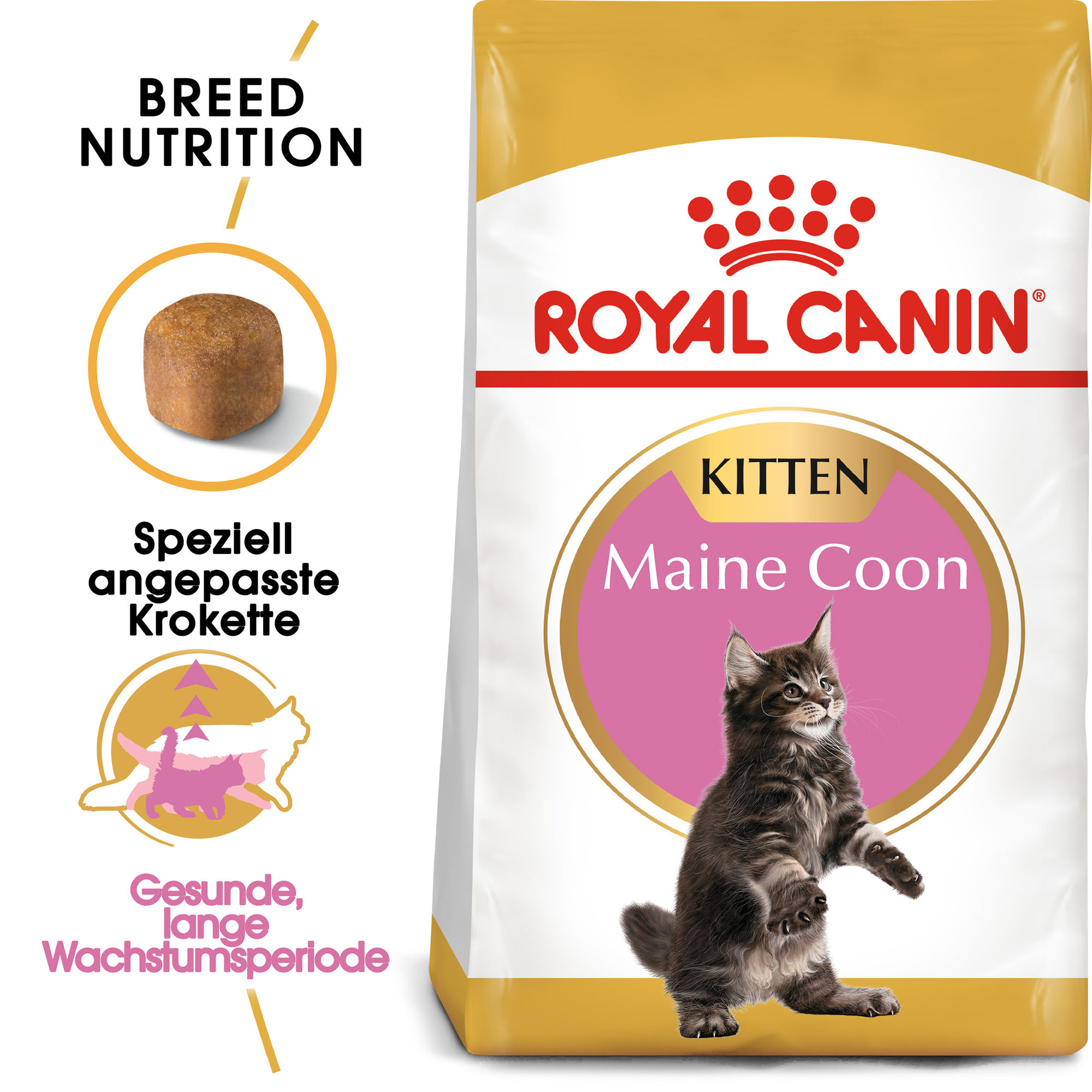 Royal Canin Maine Coon Kitten Katzenfutter - 2 kg 3