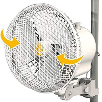 Circulation Fans - Monkey Tent Fans - Secret Jardin - 6" Oscillating