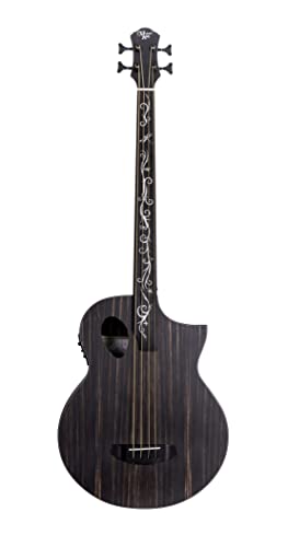 Dragonfly Forte Port Fretless Acoustic Bass Guitar-BASS GUITAR