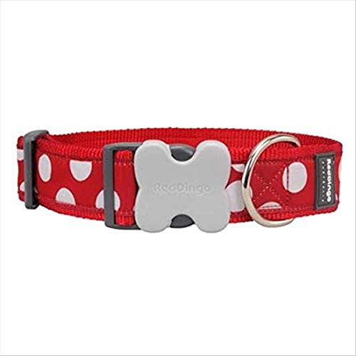 Red Dingo Hundehalsband, weiße Punkte, Rot