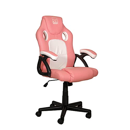 Xtreme Gaming-Chair RX12 Pink