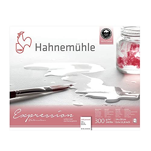 Hahnemuhle Expression Watercolor Block Cold Pressed 9x12.5 inches 20 Sheets
