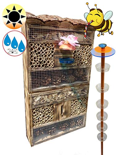Insektenhaus Dunkelbraun Teak Look mit Schmetterlingshaus braun Gartendeko-Stecker als funktionale Bienentränke + 1x Lotus BIENENHAUS Insektenhaus FDV-HO-Station-OS,XXL Bienenstock