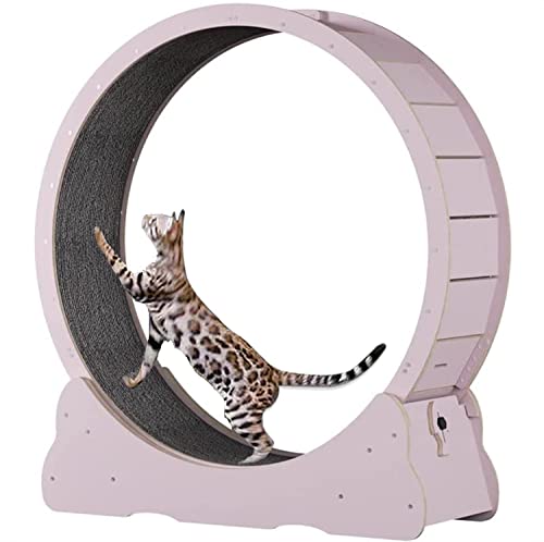 Laufband für Katzen, No Noise Cat Übungs-riesenrad, Spinnrad aus Naturholz für Katzen im Innenbereich, Design mit Sicherheitsschloss, Spielzeug,L-Pink