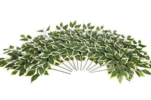 Evergreens künstlicher (Deko) Laubzweig 12 Stück (Ficus grün-weiß)