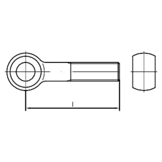 Augenschrauben DIN 444 Edelstahl A4 BM10x 45