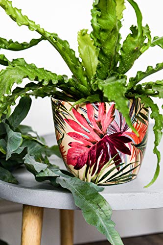 Ivyline Blumentopf, Keramik, Cremefarben/Pink/Grün, 16 cm