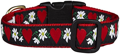 Up Country HFL-C-S Hearts and Flowers Hundehalsband, Schmal 5/8 inch, S