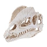 Lyguy Dinosaurier-Modell, Dilophosaurus Dinosaurier Schädel Harz Anat Skelett Lernmodell Halloween Dekoration Büro zu Hause
