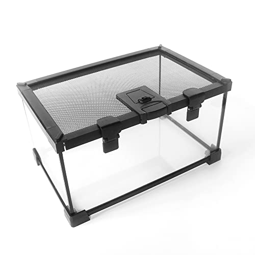 Mini-Reptilien-Glasterrarium-Behälter mit voller Ansicht Optisch ansprechender Mini-Reptilien-Glas-Lebensraumkäfig- 30 * 20 * 20