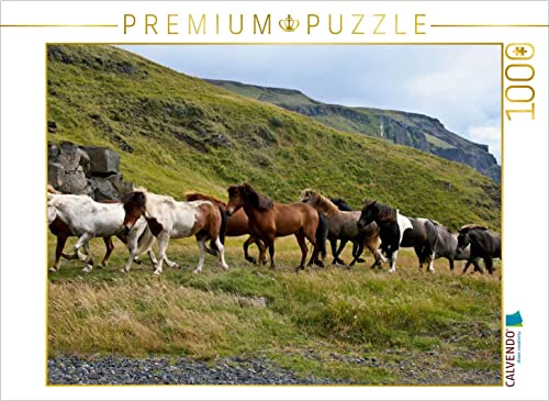 CALVENDO Puzzle Islandpferdeherde 1000 Teile Lege-Größe 64 x 48 cm Foto-Puzzle Bild von Aussiefreak