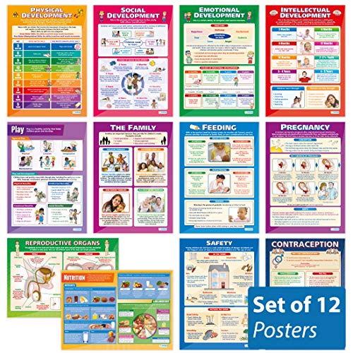 Daydream Education Poster 12-teiliges Posterset zu „Child Development“, Glanzpapier, 850 mm x 594 mm (A1), Lerntafeln (englische Version)