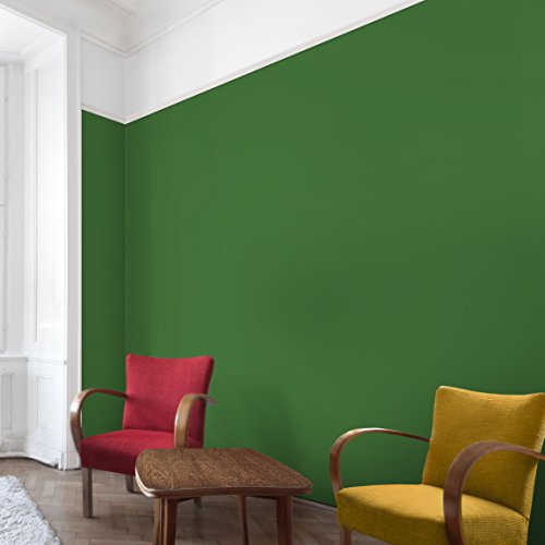 Apalis Vliestapete Colour Dark Green UniTapete Breit | Vlies Tapete Wandtapete Wandbild Foto 3D Fototapete für Schlafzimmer Wohnzimmer Küche | grün, 94571