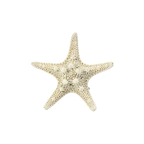 Und Clips Beach Star Resin Starfishs Hair Pcs Hair Clip Sea Accessoires for Frauen Mädchen Pins Hair 3 DQs880 Haarnadel