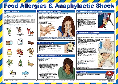 Safety First Aid Gruppe A2 laminiert Lebensmittel Allergien und anaphylaktische Schocks Poster