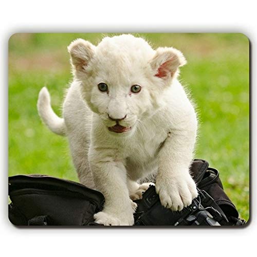 (dauerhafte Präzise Gemeinsame Mousepad) die Hohe Qualität Ein Mousepad, Löwen - Kätzchen, Taschen, Spiel - Büro - Mousepad