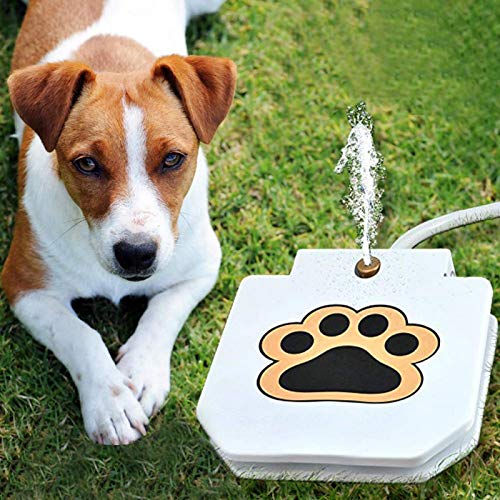 Surebuy Haltbarer Hundetrinkbrunnen, der die Beine des Hundes trainiert, geeignet für Hunde