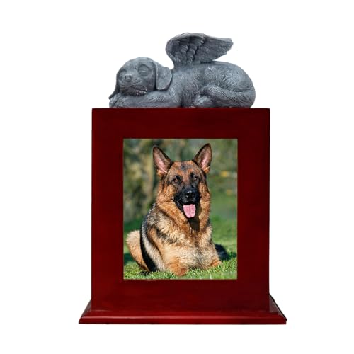 Scnvsi Urnen Für Die Beerdigung Von Hunden Aus Holz Für Asche. Gedenkurnen Aus Holz Für Haustiere