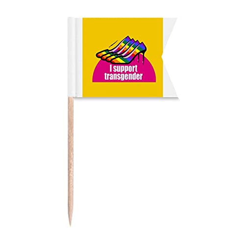 I Support Bisexuals LGBT Regenbogen-Zahnstocherflaggen Kennzeichnung Markierung für Party Kuchen Lebensmittel Käseplatte