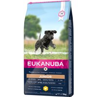Eukanuba Junior Trockenfutter für große Hunde mit frischem Huhn, 15kg