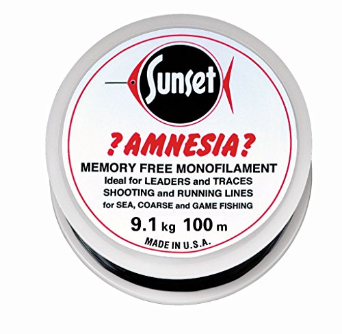 Amnesia schwarz 9,1 kg