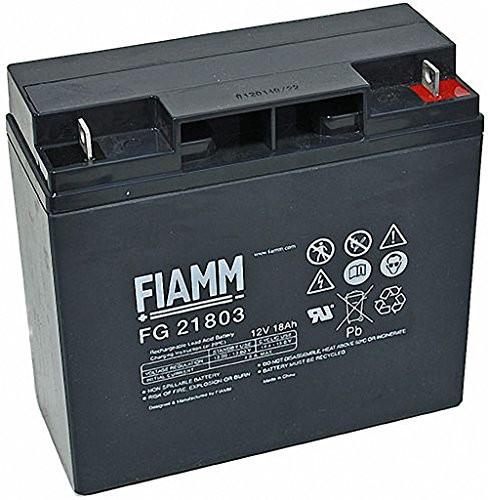 Original FIAMM Akku 12V 18Ah Batterie Akku FG21703 / FG21803 UPS USV GF 21703