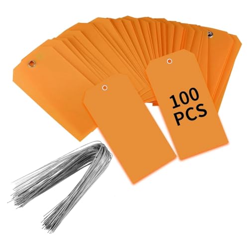DINESA 100 Stück Kunststoff-Versandanhänger mit Drähten, blanko, wasserdicht, zum Aufhängen (orange), einfache Installation, 100 Stück