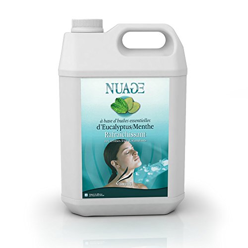 Camylle - Nuage - Emulsion von Ätherischen Ölen für Ultraschallvernebler - Euka/Minze - Erfrischend - 5000ml
