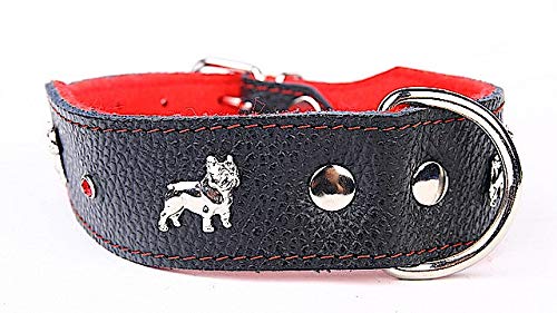 Capadi K0302 Hundehalsband für Bulldoge verziert mit Metallaplikation aus echtem strapazierfähiges Leder weich unterlegt, Rot, Breite 40 mm, Länge 45 cm