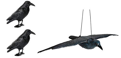 Hillfield Schwarzer Rabe fliegend oder sitzend Kunststoff Taubenschreck Taubenabwehr Vogelschreck (2 Raben stehend + 1 Rabe fliegend)