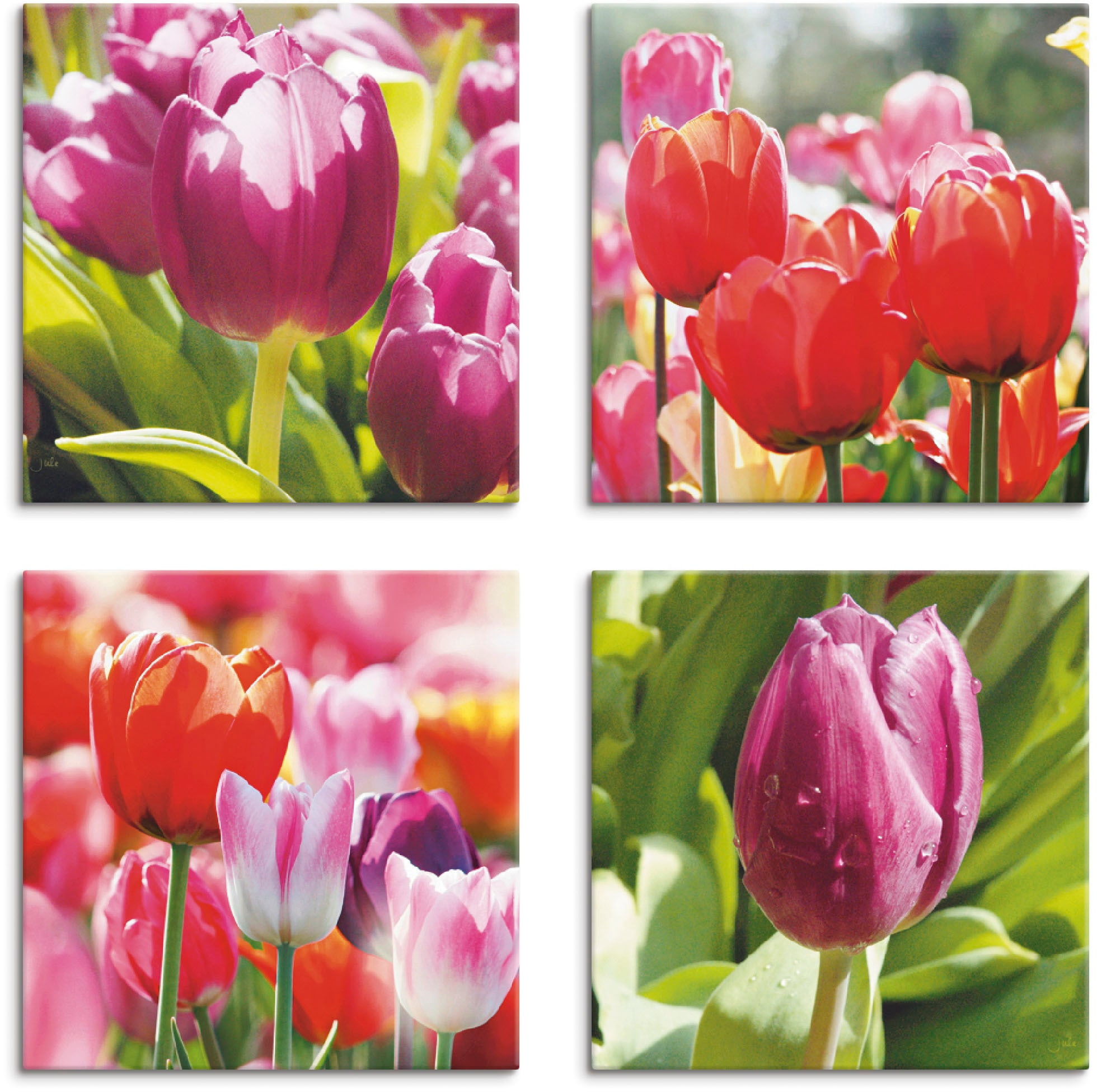 Artland Leinwandbild "Frühling und Tulpen", Blumen, (4 St.)