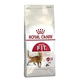 Royal Canin - Royal Canin Fit 32 - 4 kg