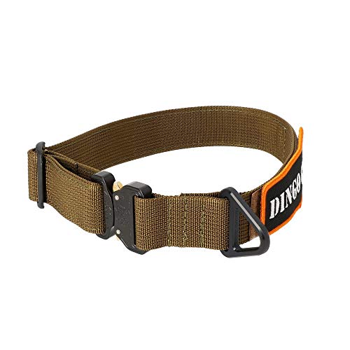Dingo Gear Hundehalsband aus Band ohne Griff Cobra, Farbe Coyote Braun Breite 4 cm Länge 52-64 cm S03133