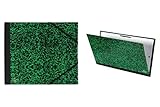 Canson 200003119 Zeichenmappe Annonay, 2 Eckspanner mit Gummizugverschluss, 1 Stück, 610x81 mm, grün