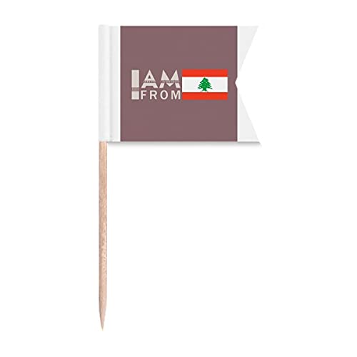 "I Am from Libanon" Art Deco Geschenk Mode Zahnstocher Flaggen Beschriftung Markierung für Party Kuchen Lebensmittel Käseplatte