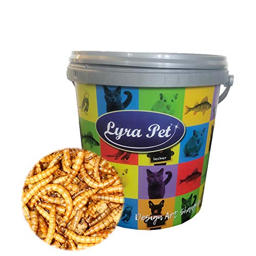 Lyra Pet® 4 x 5 L (Liter) Mehlwürmer getrocknet Fischfutter Nager im Eimer