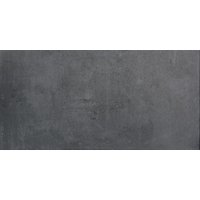 Bodenfliese Feinsteinzeug Pronto 30 x 60 cm schwarz