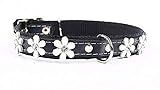 Capadi K0291 Hundehalsband verziert mit Blumen und Christallen aus echtem strapazierfähiges Leder weich unterlegt, Schwarz, Breite 30 mm, Länge 65 cm