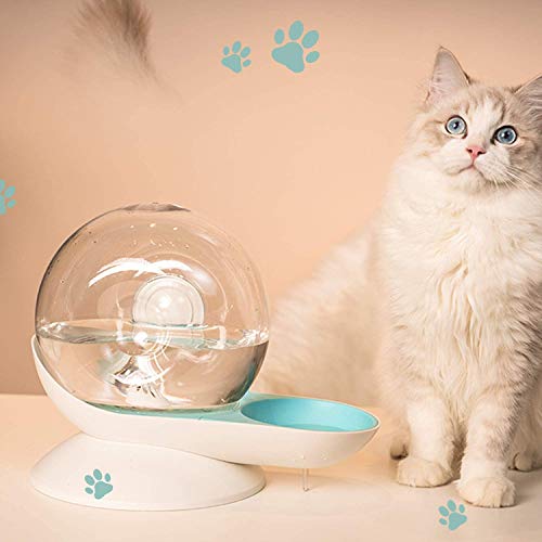 Schnecken Blase Automatic Water Feeder Brunnen Für Katzen Hunde Wasserspender Haustiere Trinkschalen Liefert