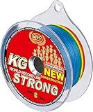 WFT KG Strong 600m 0,25mm 39kg, geflochtene Schnur, Meeresschnur, Angelschnur, Geflechtschnur, Farbe:Multicolor
