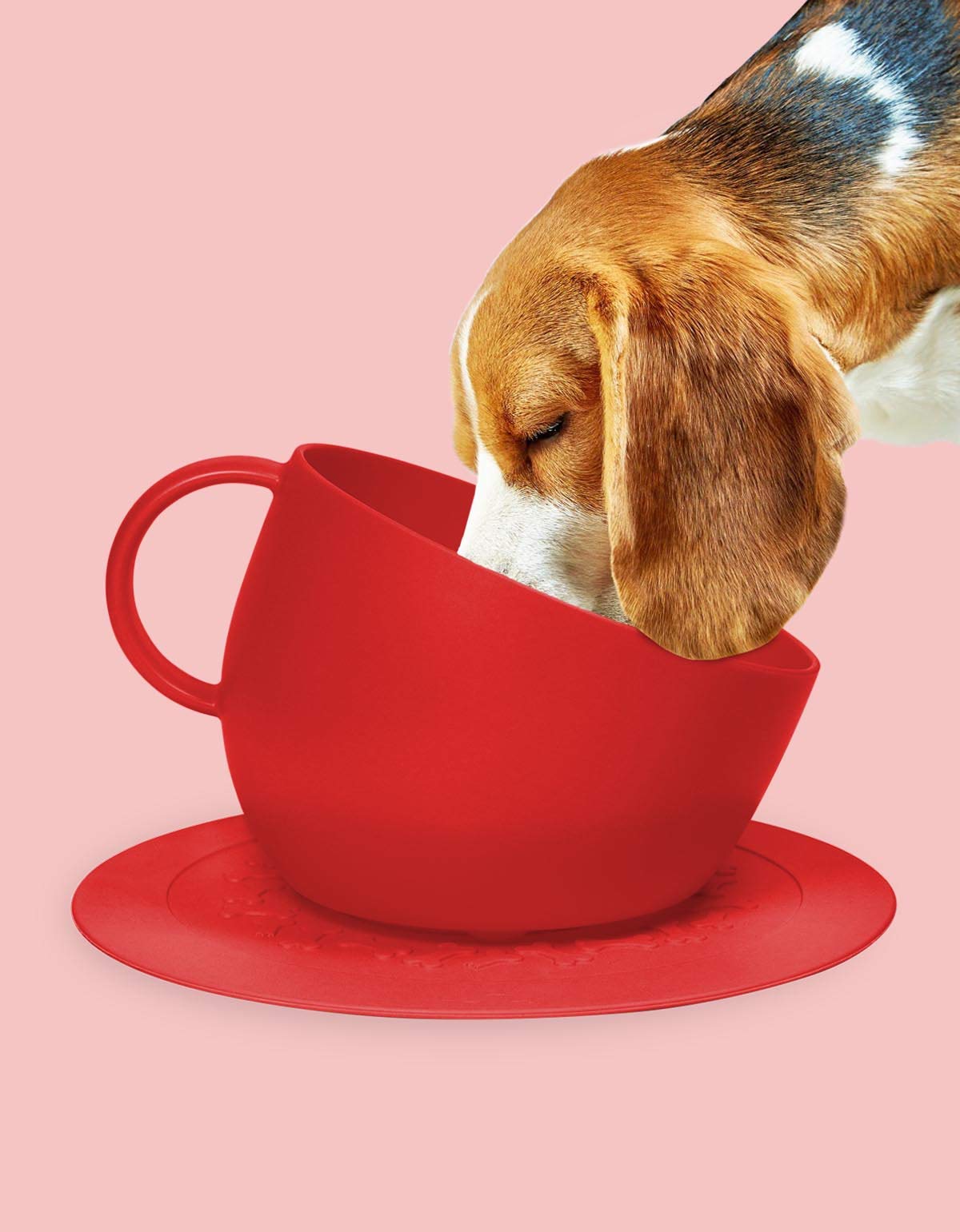 United Pets Set mit Futternapf Cup und Napfunterlage Plate für Hunde, Rot, Einheitsgröße